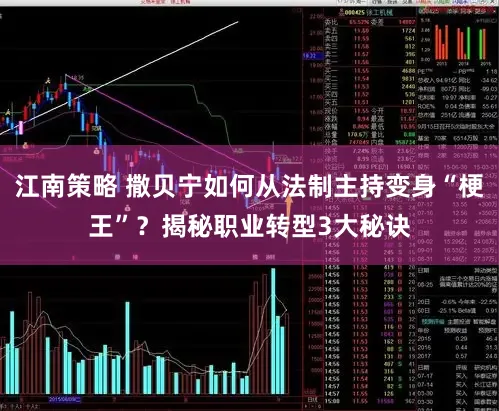 江南策略 撒贝宁如何从法制主持变身“梗王”？揭秘职业转型3大秘诀