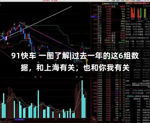 91快车 一图了解|过去一年的这6组数据，和上海有关，也和你我有关