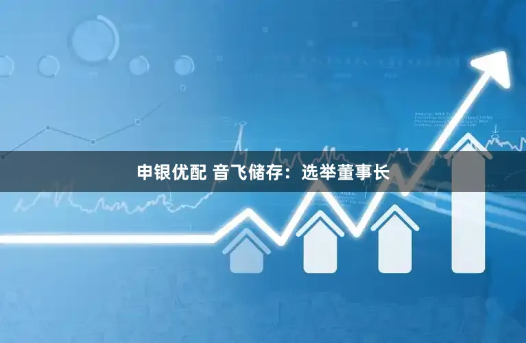 申银优配 音飞储存：选举董事长