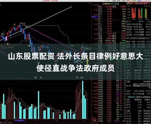 山东股票配资 法外长条目律例好意思大使径直战争法政府成员
