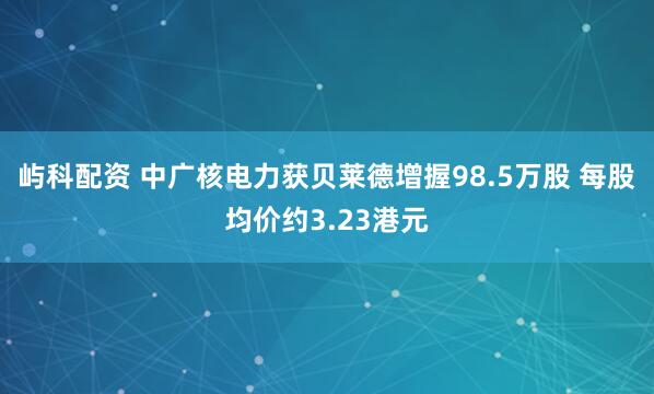屿科配资 中广核电力获贝莱德增握98.5万股 每股均价约3.23港元
