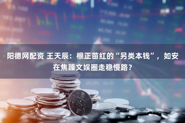 阳德网配资 王天辰：根正苗红的“另类本钱”，如安在焦躁文娱圈走稳慢路？