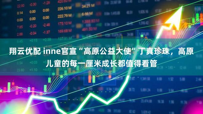 翔云优配 inne官宣“高原公益大使”丁真珍珠，高原儿童的每一厘米成长都值得看管