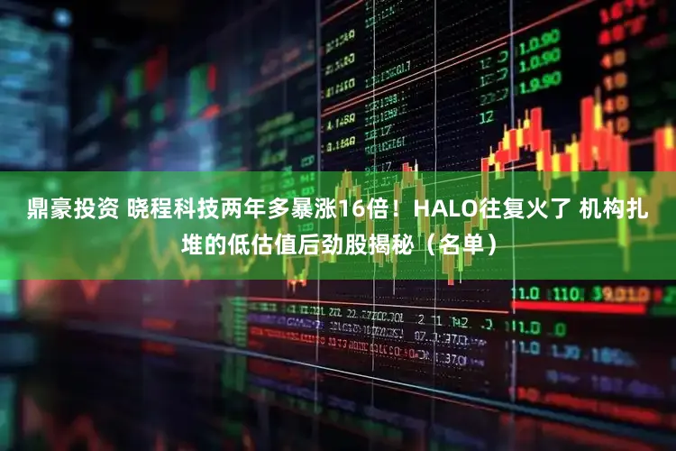 鼎豪投资 晓程科技两年多暴涨16倍！HALO往复火了 机构扎堆的低估值后劲股揭秘（名单）