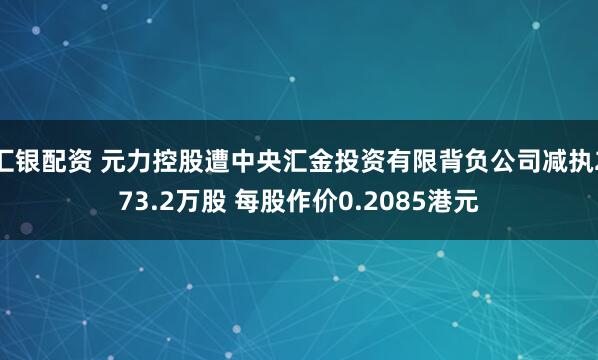 汇银配资 元力控股遭中央汇金投资有限背负公司减执273.2万股 每股作价0.2085港元