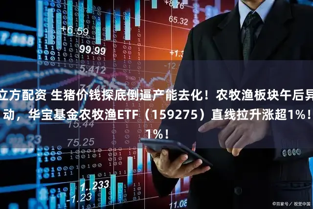 立方配资 生猪价钱探底倒逼产能去化！农牧渔板块午后异动，华宝基金农牧渔ETF（159275）直线拉升涨超1%！