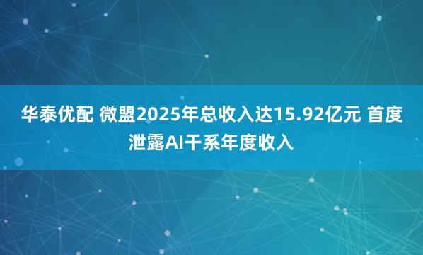 华泰优配 微盟2025年总收入达15.92亿元 首度泄露AI干系年度收入