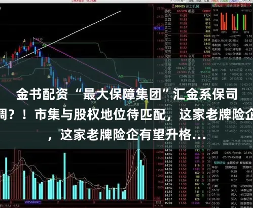 金书配资 “最大保障集团”汇金系保司神色或将微调？！市集与股权地位待匹配，这家老牌险企有望升格…