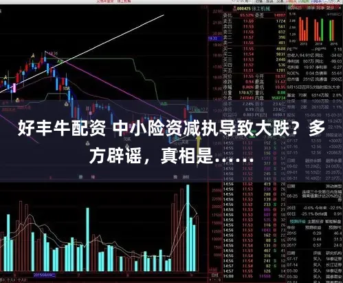 好丰牛配资 中小险资减执导致大跌?多方辟谣,真相是……