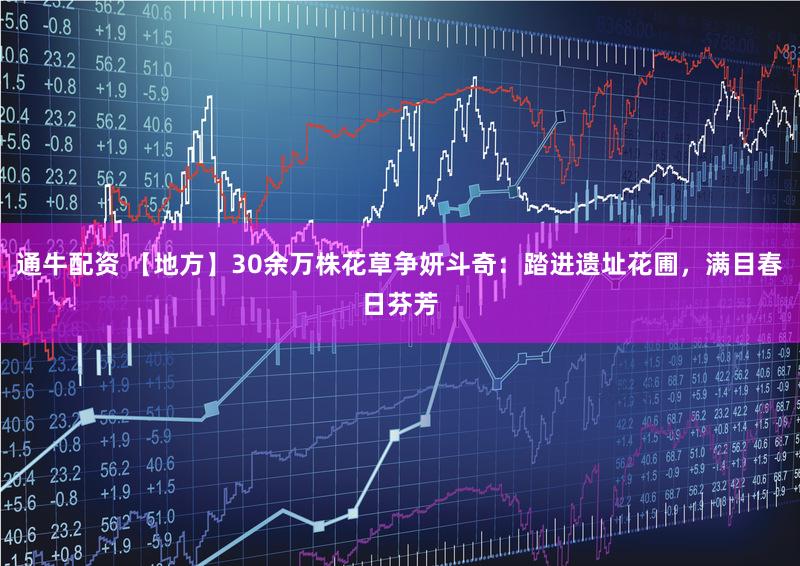 通牛配资 【地方】30余万株花草争妍斗奇：踏进遗址花圃，满目春日芬芳