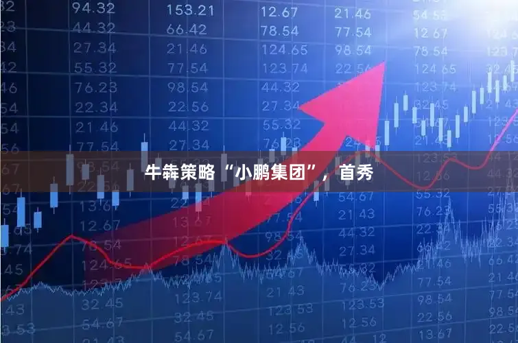 牛犇策略 “小鹏集团”，首秀