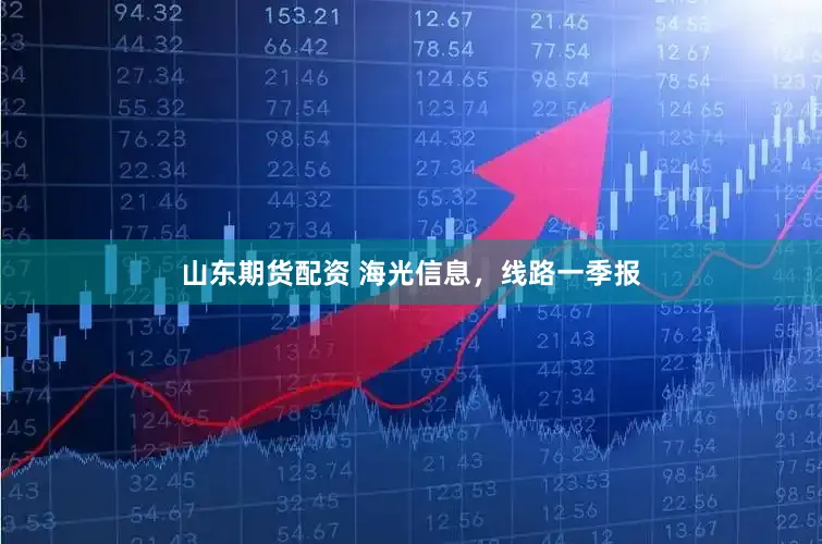 山东期货配资 海光信息，线路一季报