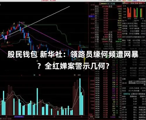 股民钱包 新华社：领路员缘何频遭网暴？全红婵案警示几何？