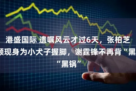 港盛国际 遗嘱风云才过6天，张柏芝素颜现身为小犬子握脚，谢霆锋不再背“黑锅”