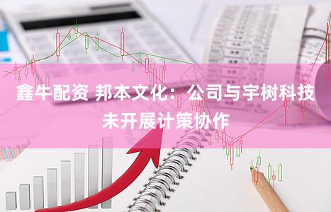 鑫牛配资 邦本文化：公司与宇树科技未开展计策协作