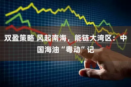 双盈策略 风起南海，能链大湾区：中国海油“粤动”记